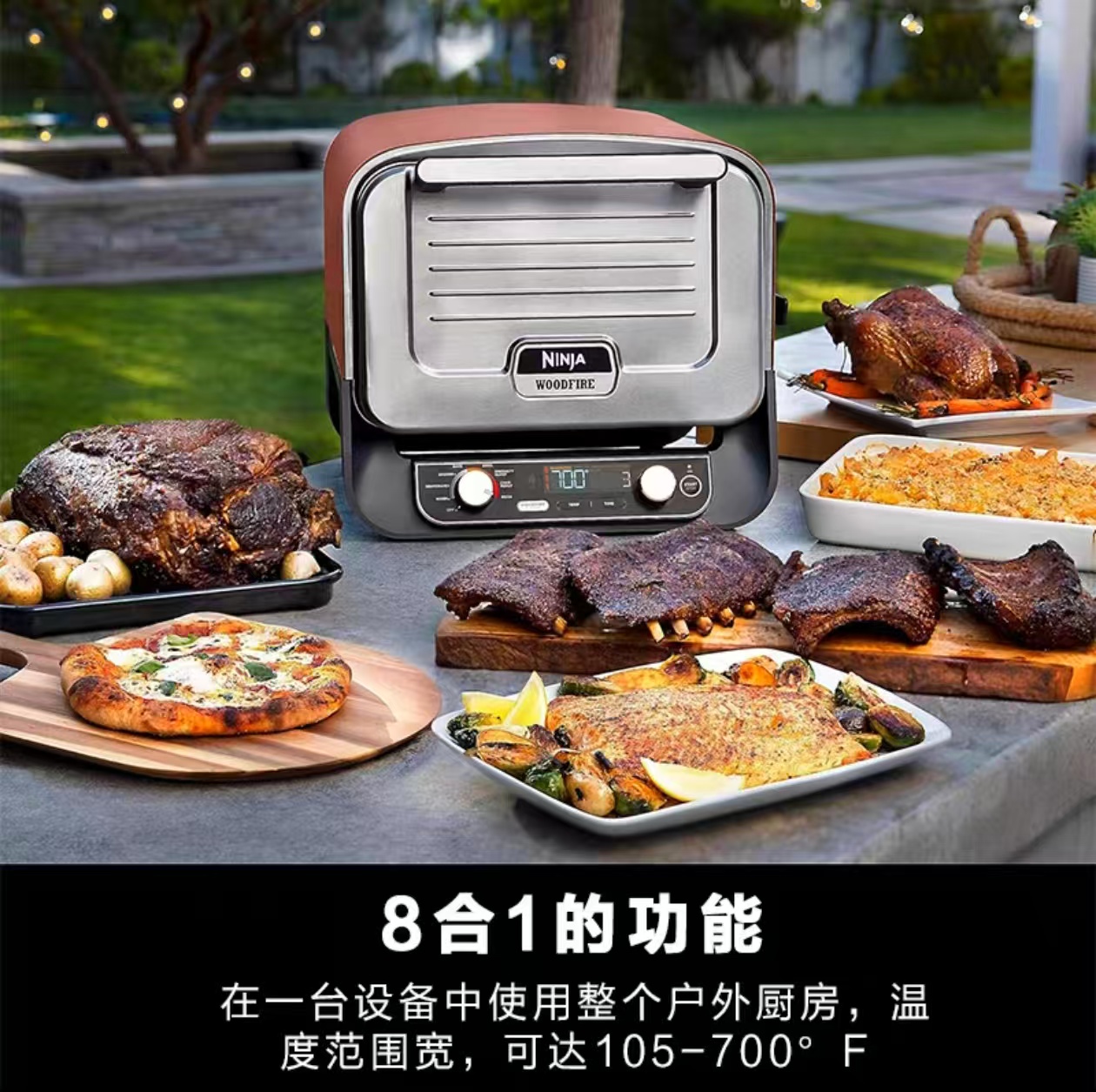 Forno Pizza da Esterno 2026 pe - Camping Cooking Electric recensione e prezzo