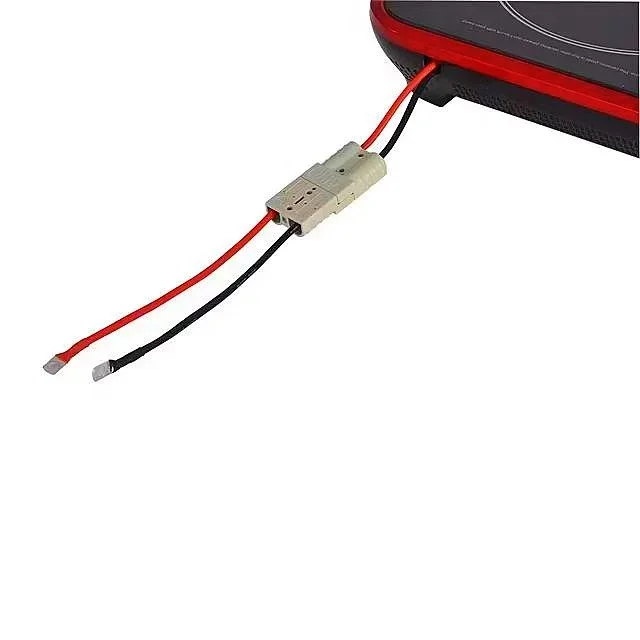 Fornello a Induzione Solare co - Camping Cooking Electric recensione e prezzo