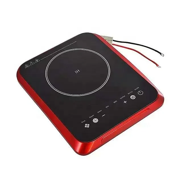 Fornello a Induzione Solare co - Camping Cooking Electric recensione e prezzo